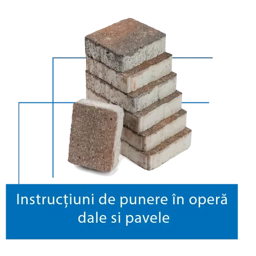 dale pavele